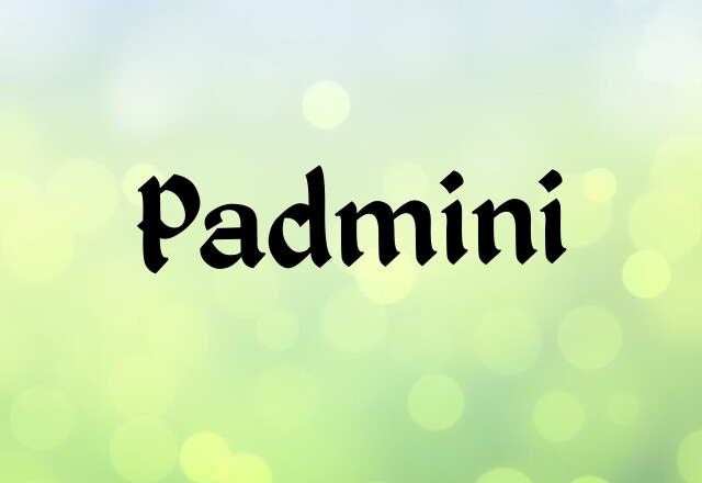 Padmini Name Images